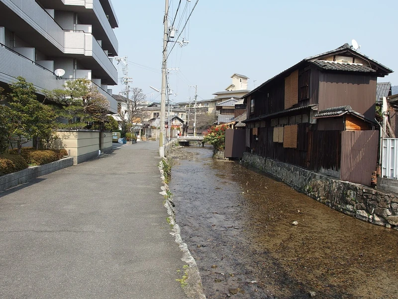 Gion - Hanamikoji & Shirakawa