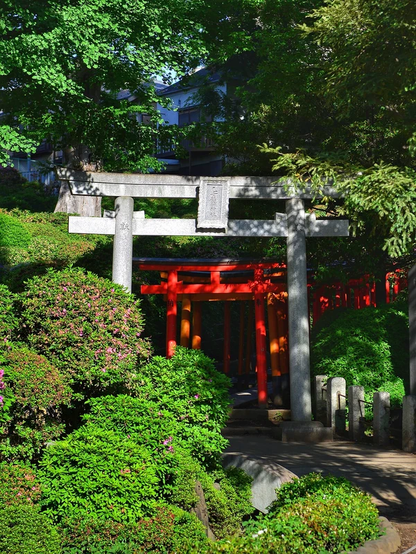 Nezu Shrine - tunel czerwonych bram