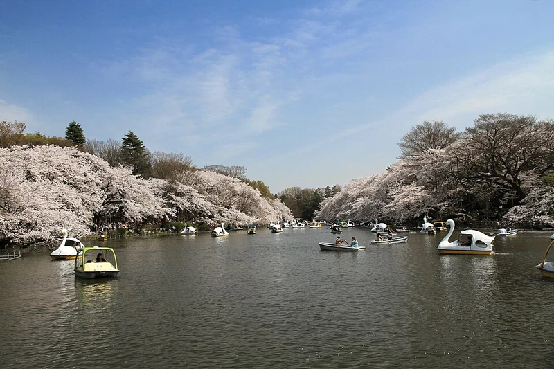 Park Inokashira