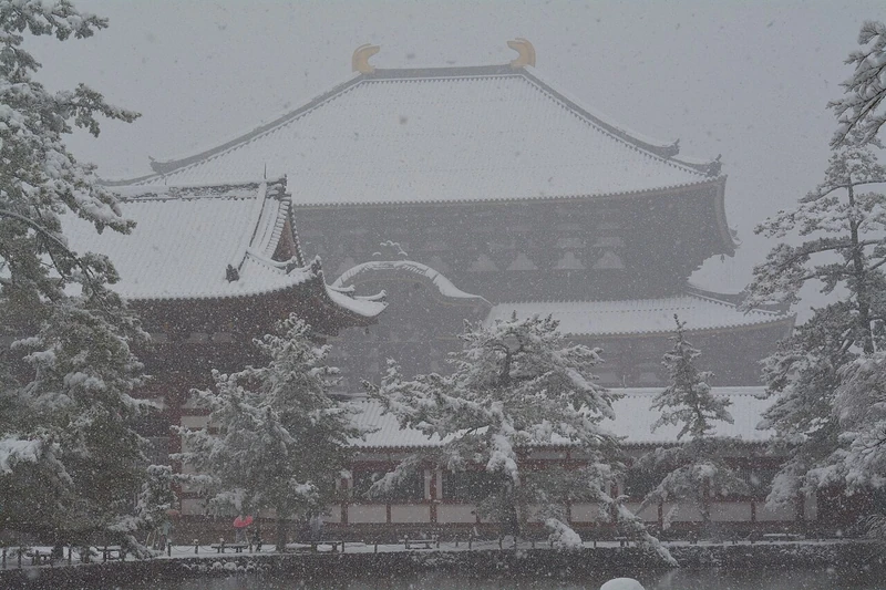 Świątynia Todai-ji