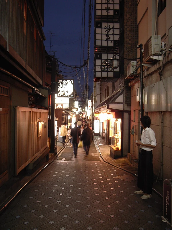 Kolacja: Pontocho