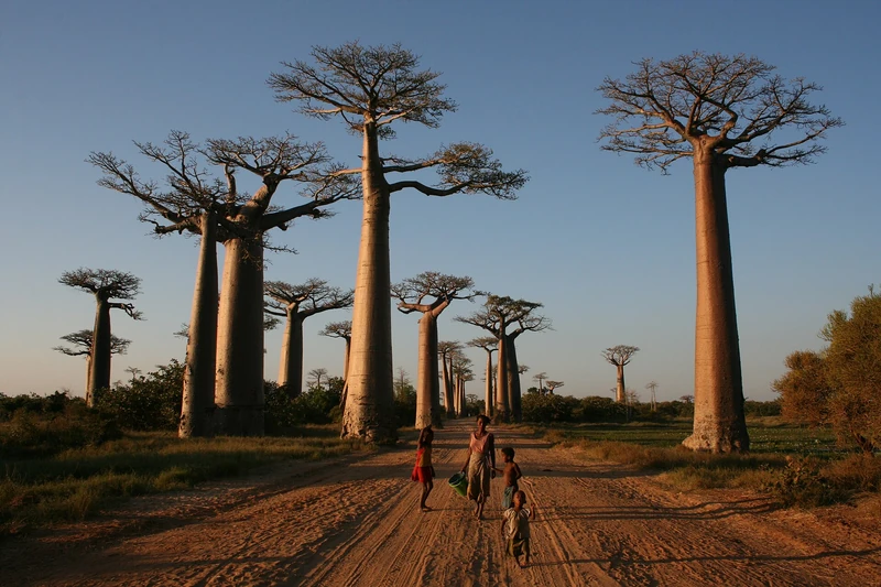 Madagaskar